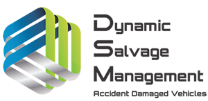 DSM-Logo