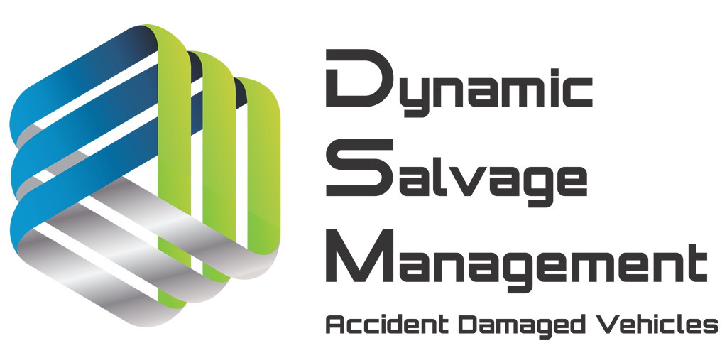 DSMlogo